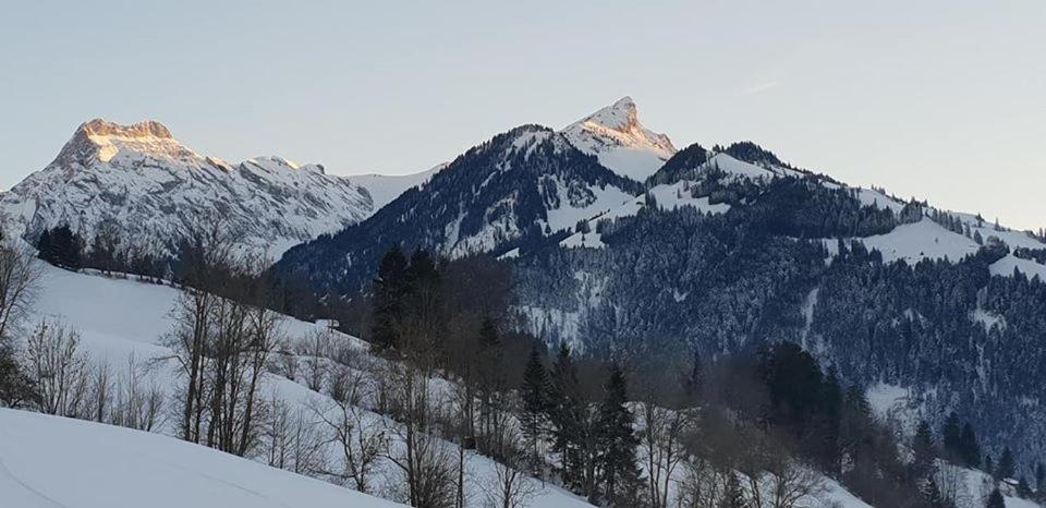 Gasthof Engelberg Inn *